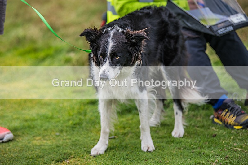 Sedbergh-562 - Sedbergh Hills Fell Race Sunday 18th August 2024