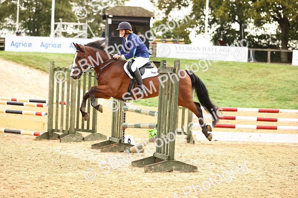 SBM_58240 - J41 - Grand Tour Horse & Pony 95cm