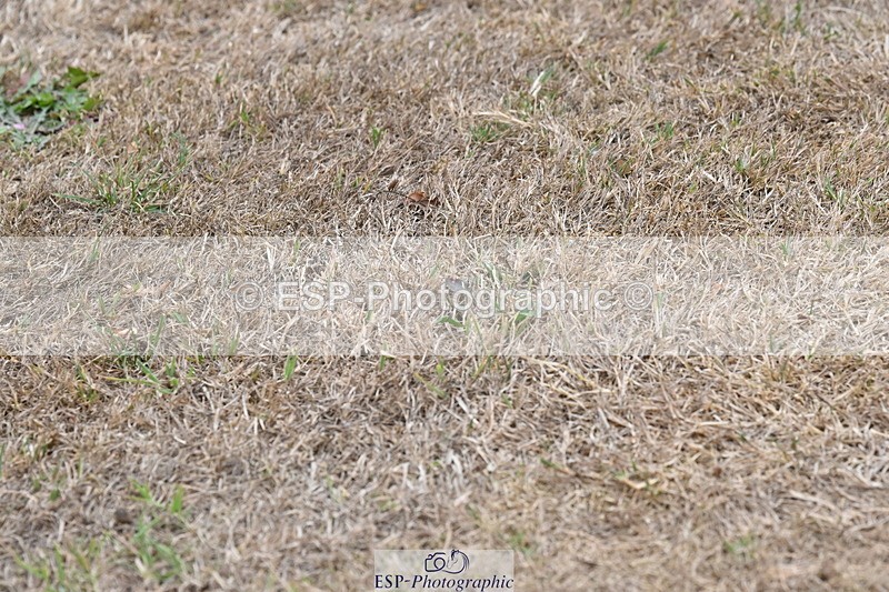 250820A-180348-12478 - Wednesday Presentations