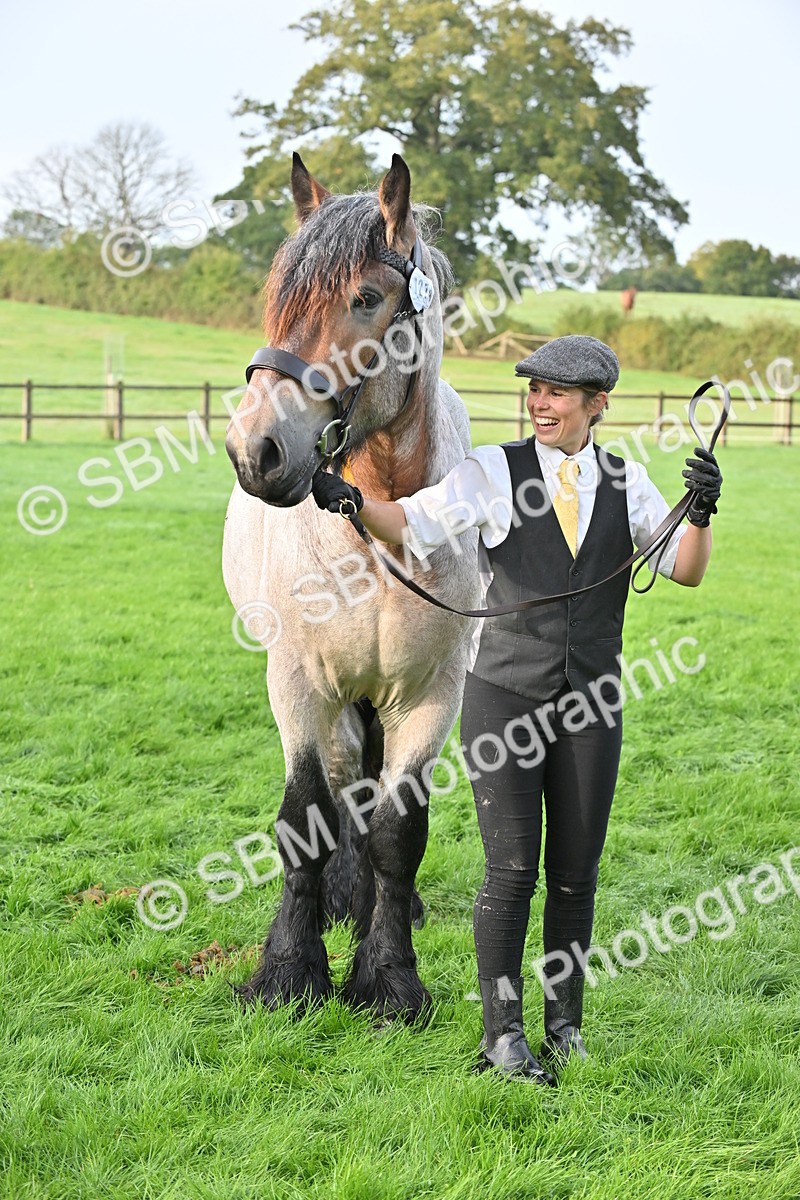 SBM_55399 - S44 - Youngstock In Hand