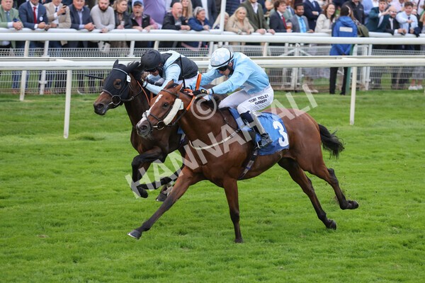yr24092021r8-15 - Race 8 5.25pm William Hill Build Your Own Odds Apprentice Stakes