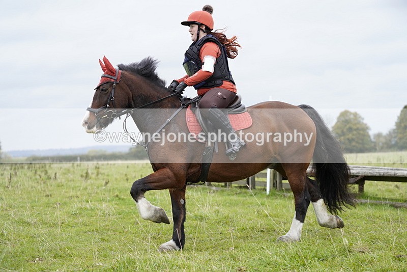 _DSC6567 - Time at Photographer 10:13 to 10:42