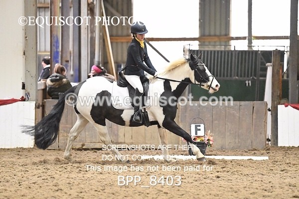 BPP_8403 - NOV 1