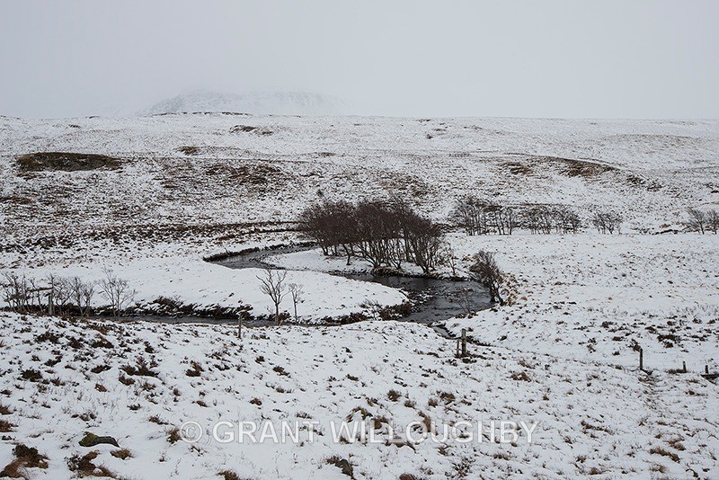 Sutherland S Bend - Horizontal