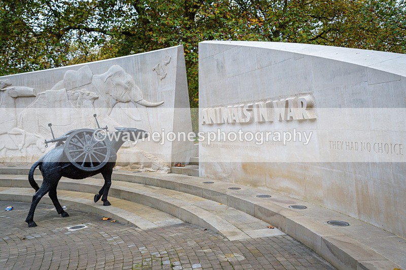 NGP_8101 - 2024 Animals in War Remembrance Gathering