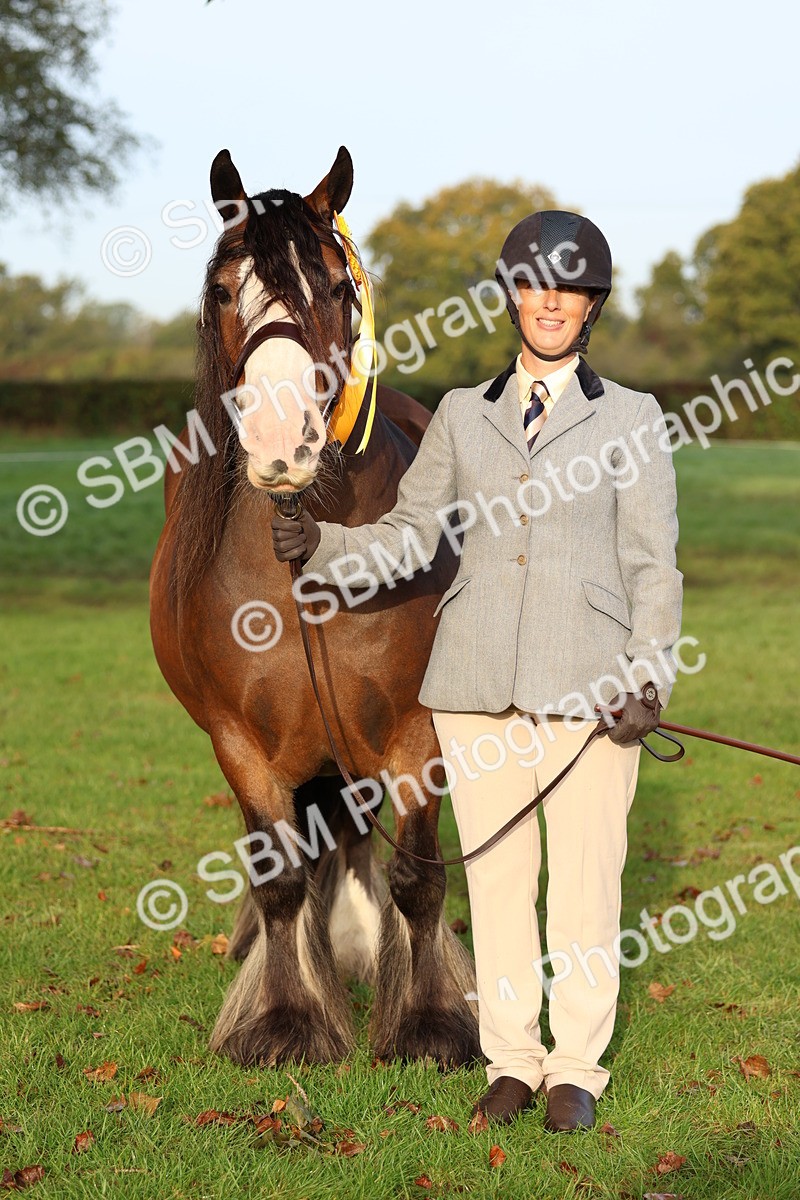 SBM_54584 - S38 - Starters Best Turnout