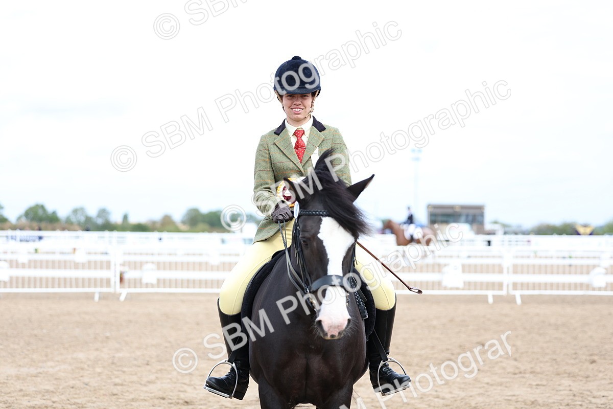 SBM_01530 - Class 17 - Prettiest Mare