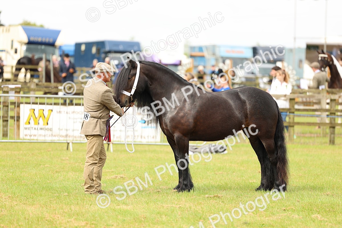SBM_00607 - Class 58-67 - M&M Non Welsh Pony In hand