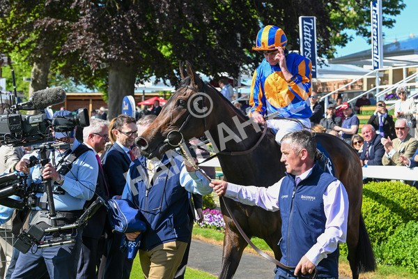 140525-Race 4-Whirl-2518 - Race 4 3.45pm Tattersalls Musidora Stakes