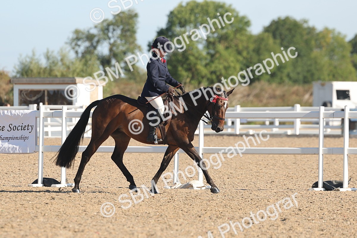 SBM_12196 - Class 303 - Ridden Pure Bred Horse Pony