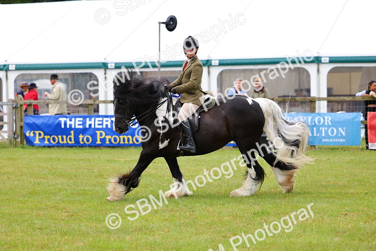 SBM_02651 - Class 9-11 Side Saddle including LIHS Rising Star Ladies Show Horse