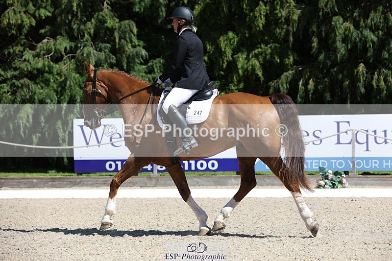 230811-142759-02036 - Cls 1 Prelim Bronze 13.30 to 14.50 break