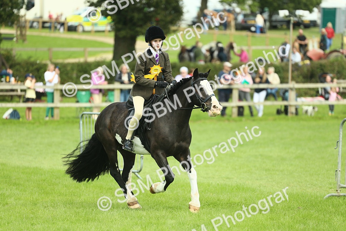 SBM_42266 - S29 - Novice & Newcomers Working Hunter Pony