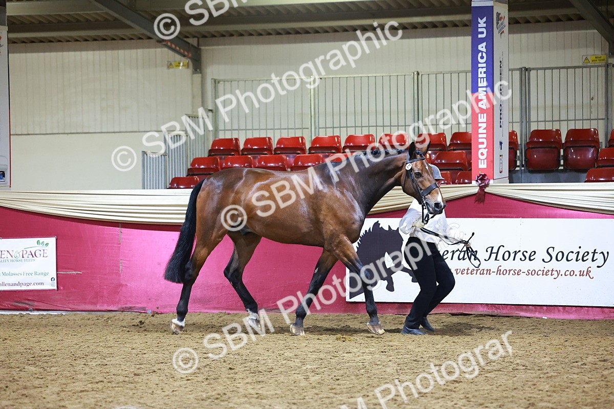SBM_15514 - Class R - Veteran Champ