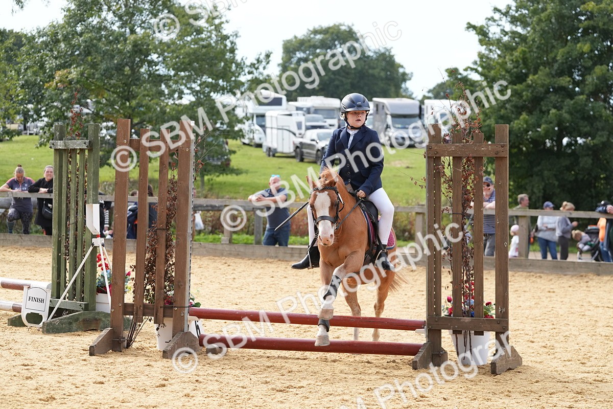 SBM_70538 - J3 - Mini Tour Junior Pony 40cm Championship