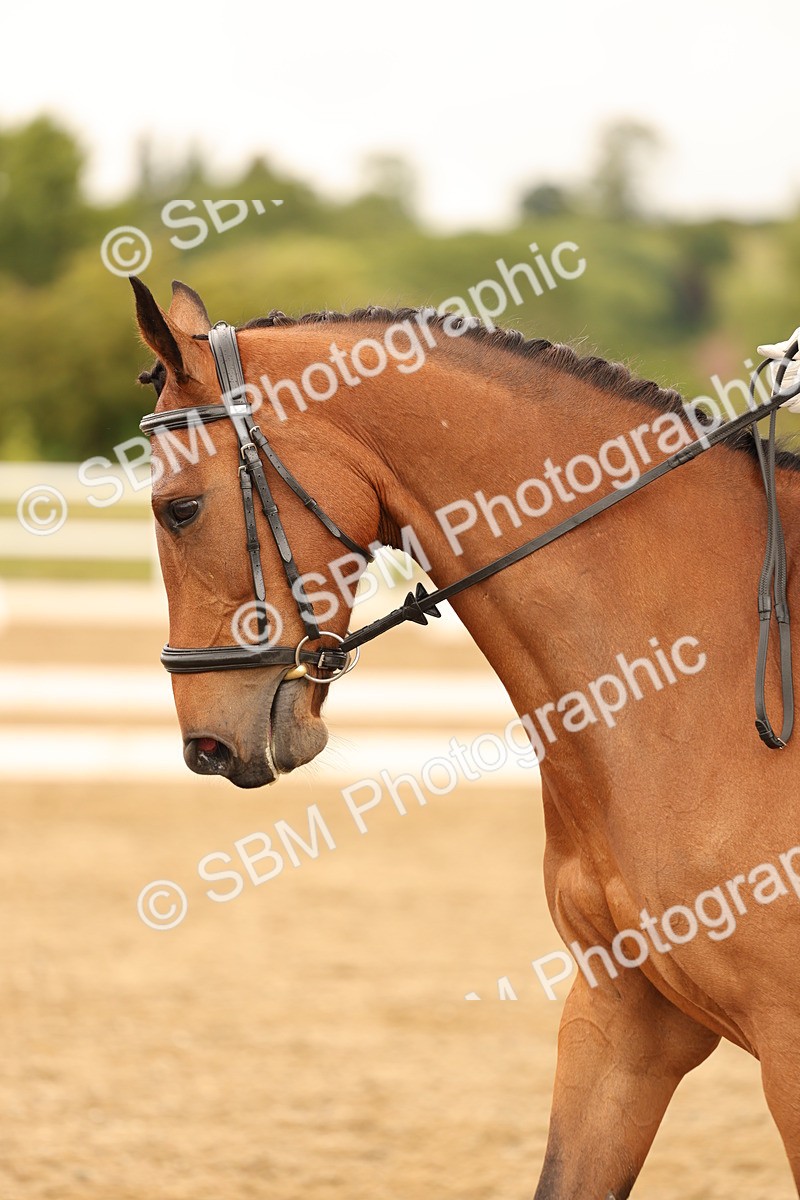 SBM_004401 - Class 6a - Novice 5 - 14.48-16.40