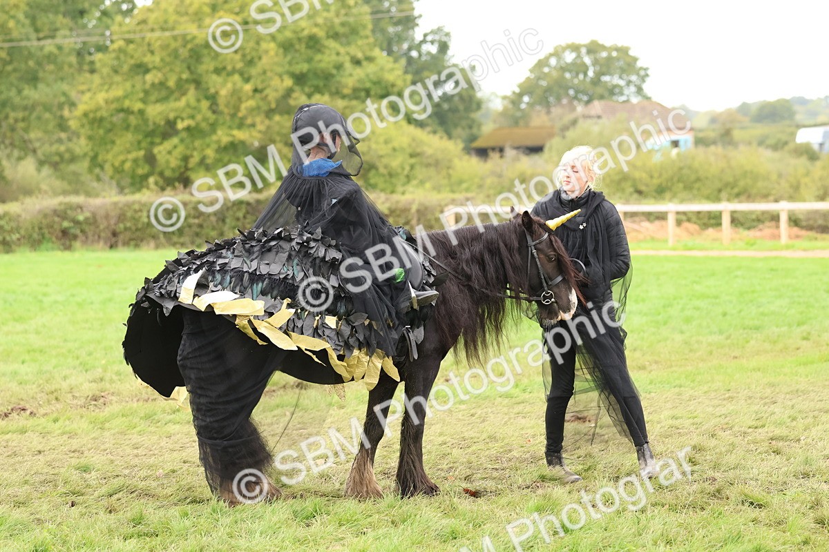 SBM_62153 - S37b - Best Unicorn