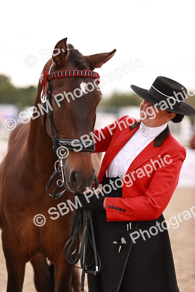 SBM_16934 - Class 415 - Horse-Pony Judge would most like to take home