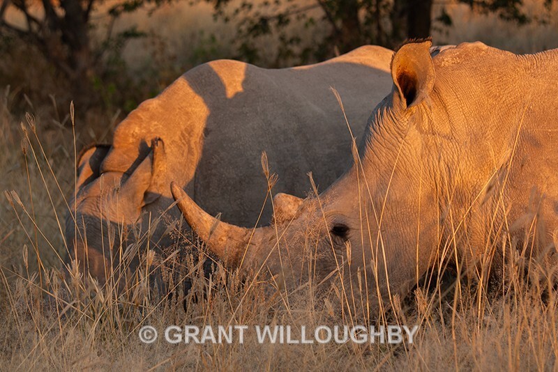  - Namibia