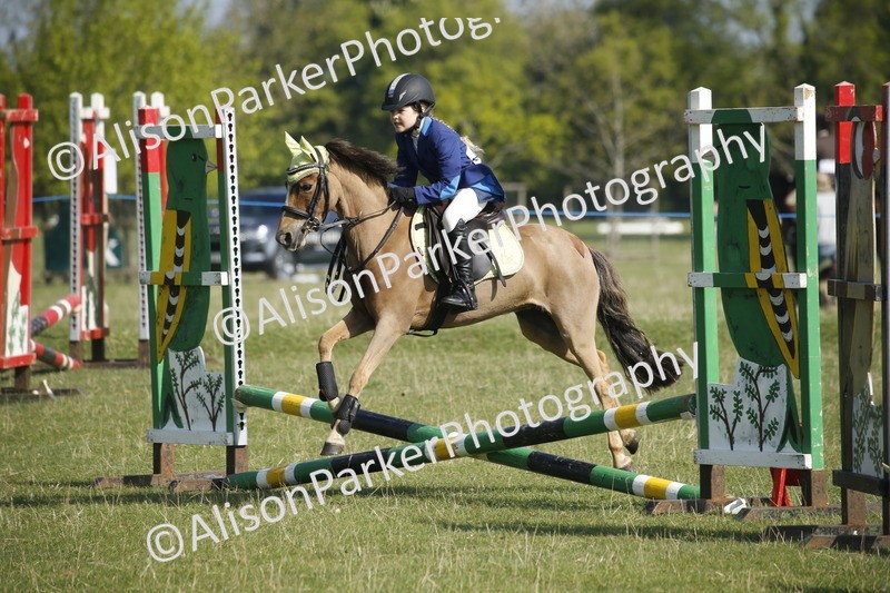 20250427-0360 - Class 12 - Rookie Jumping 40cm