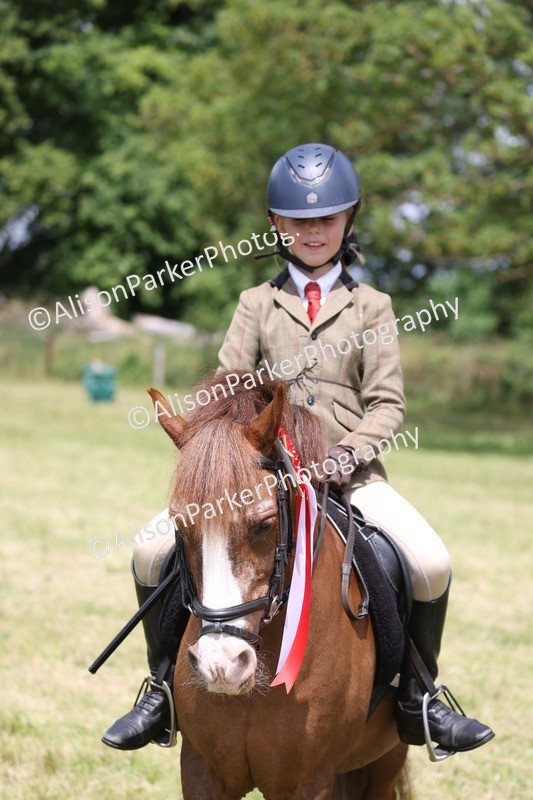 20260614-2142 - Class 21 - Novice Working Hunter Pony