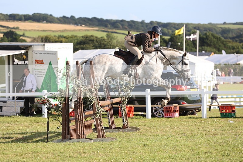 JPP_3429 - Class 22: Working Hunter 90cm