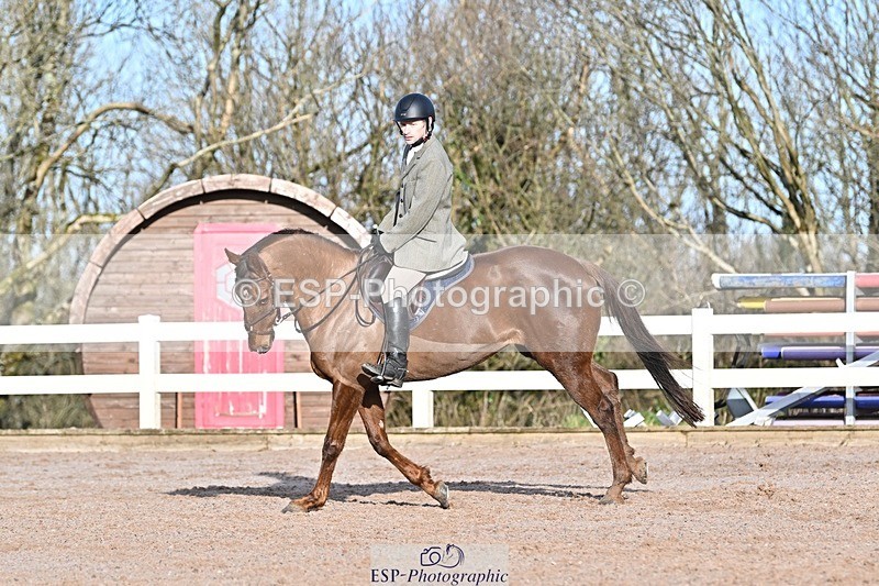 250125-102419-00168 - Dressage - CT Class 4 BE95 (80cm)