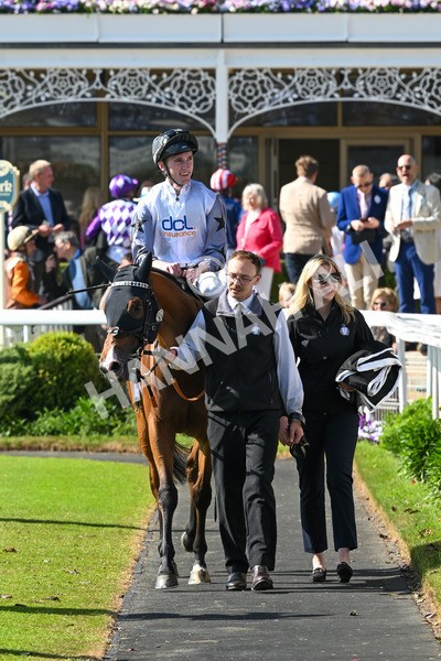 160525-Race 5-The Man-7063 - Race 5 4.15pm Irish Thoroughbred Marketing Handicap