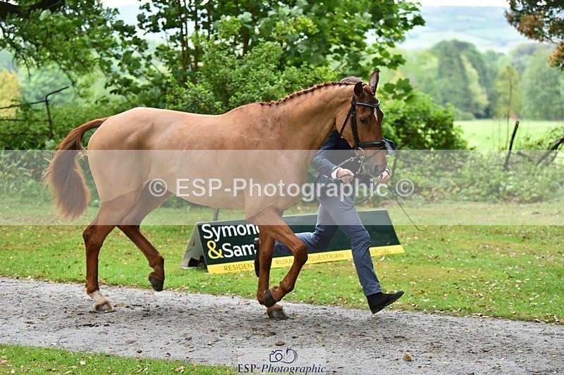 240522-162754-00933 - 273-LUSUELA-Will_Furlong