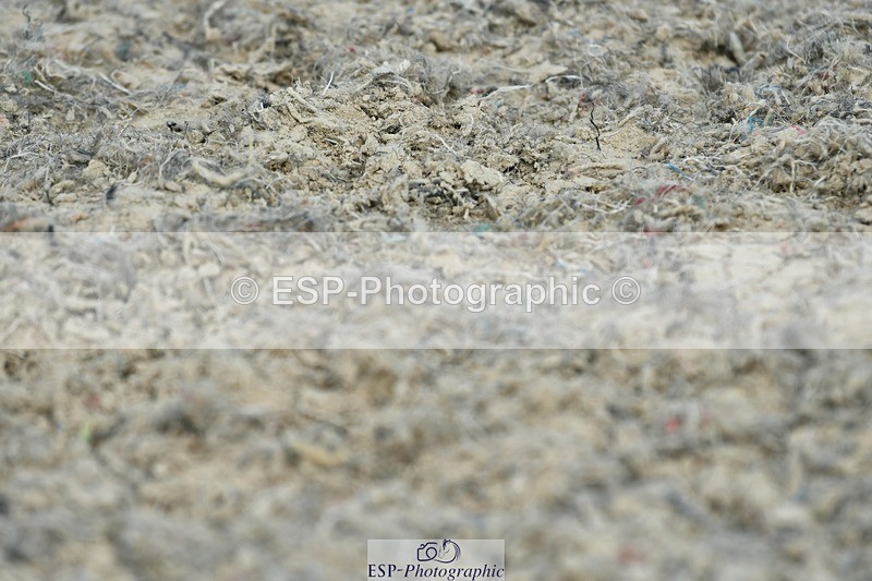 230623-155213-02776 - Cls 6 Elementary 53Q