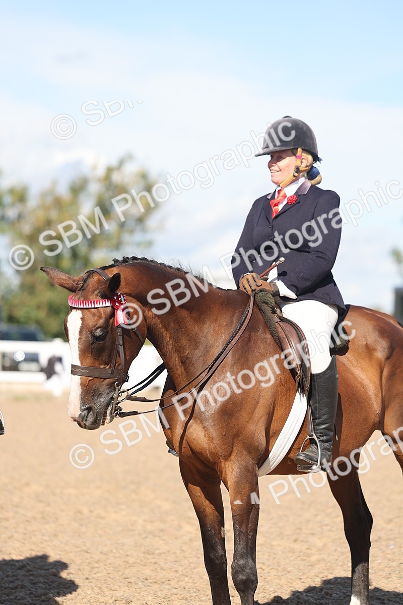 SBM_13095 - Class 305 - Ridden Foreign Breed Pure Bred