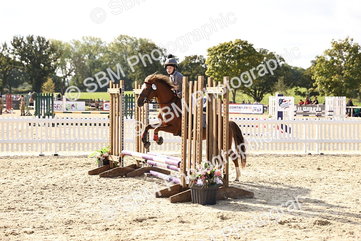 SBM_62050 - J12 - Junior Pony 55cm Championship