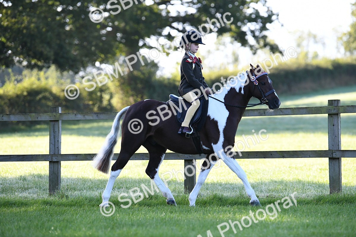 SBM_33944 - S16 - Condition & Turnout - Ridden