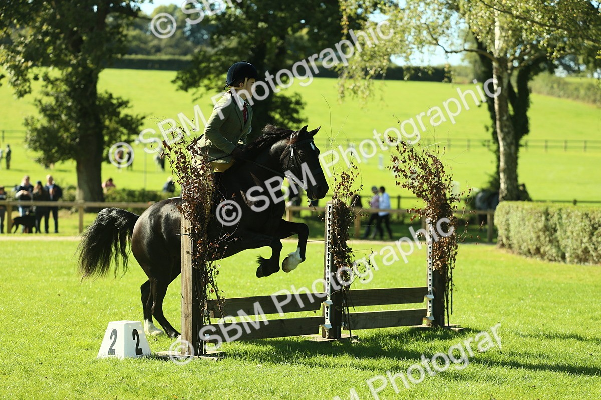 SBM_37396 - S29 - Novice & Newcomers Working Hunter Pony