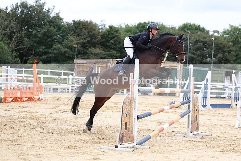 3E7A3389 - Class 9: Senior Foxhunter/1.20 open