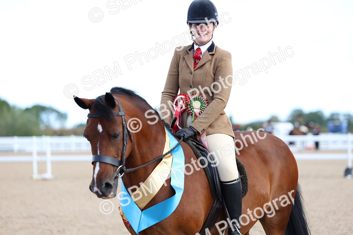 SBM_08965 - Class 302 - Ridden M&M - Large Breeds