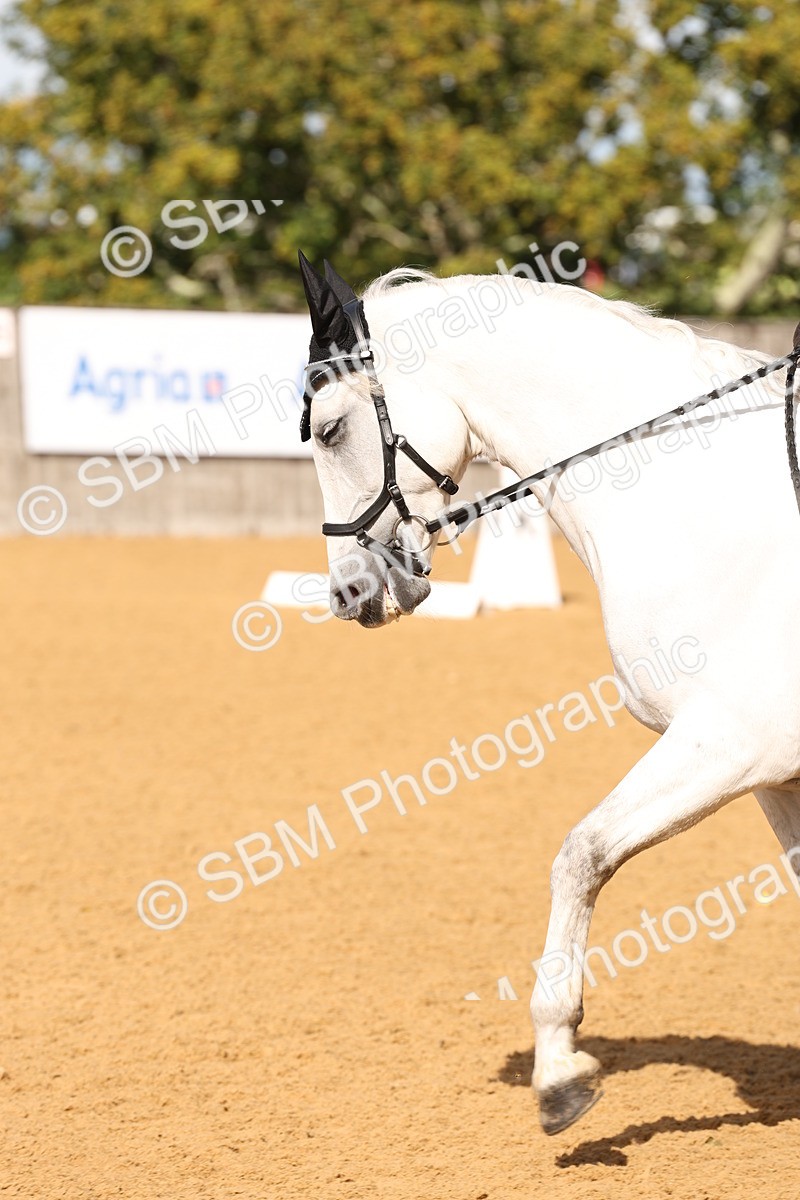 SBM_06122 - D30 - Small Tour PYO Open