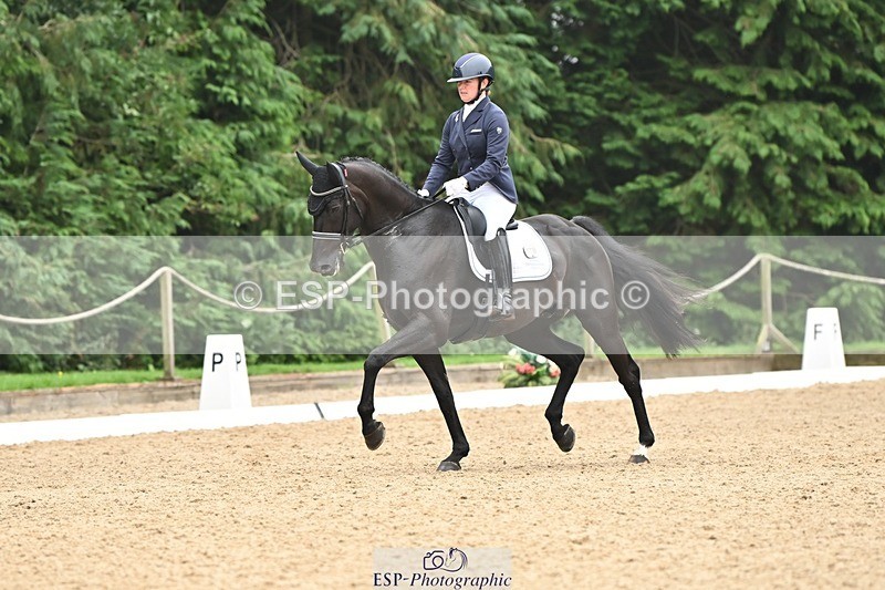 240811-120257-05325 - 118-Katie.Kneen-Springtime.Evergreen