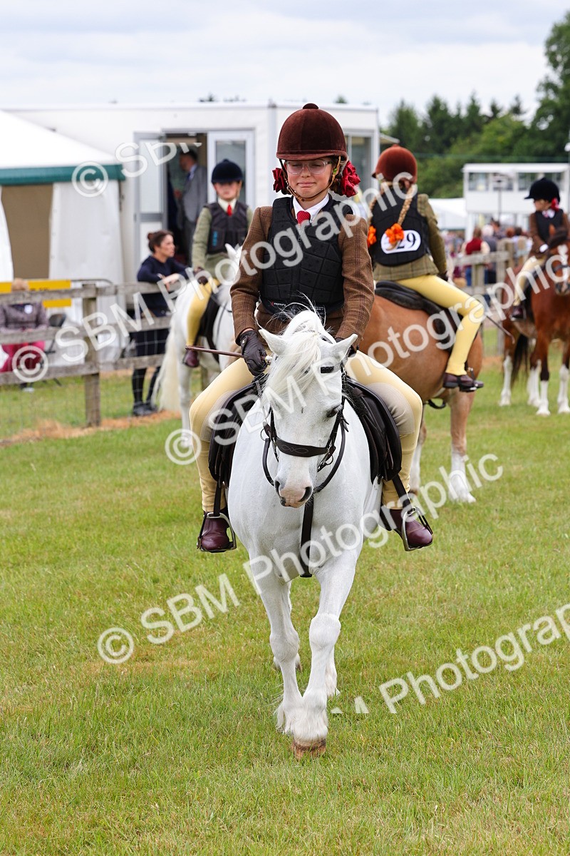 SBM_08819 - Class 42-43 - LIHS BSPS Heritage Working Sports Pony