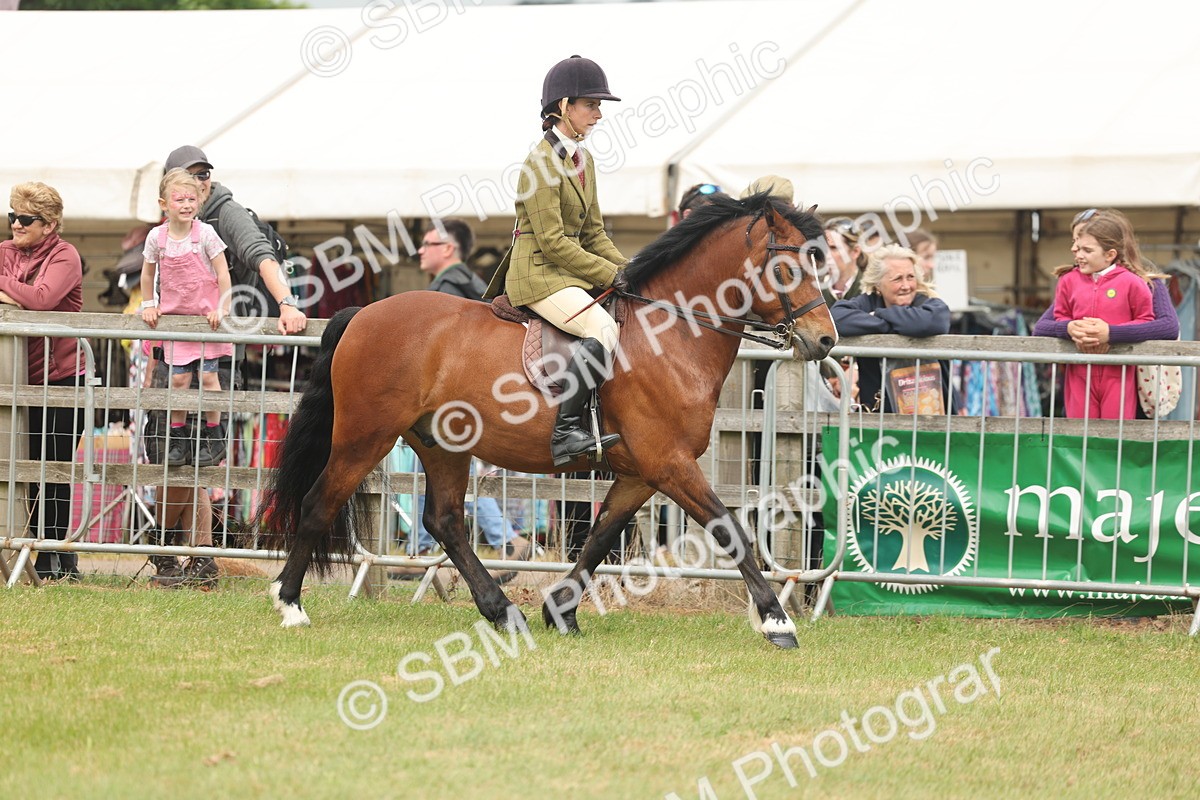 SBM_07164 - Class 76-77 - Ridden M&M Welsh Ponies