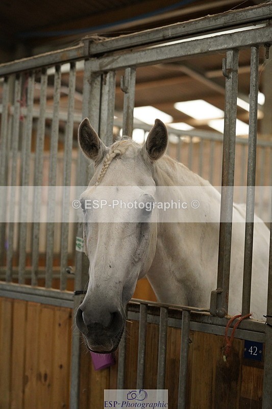 240809A-134730-01023 - Stable Shots