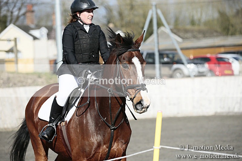 BVRC SJ 170319 23 - Bourne Valley Riding Club Showjumping 17/03/19
