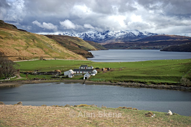 DSC04348 - Skye