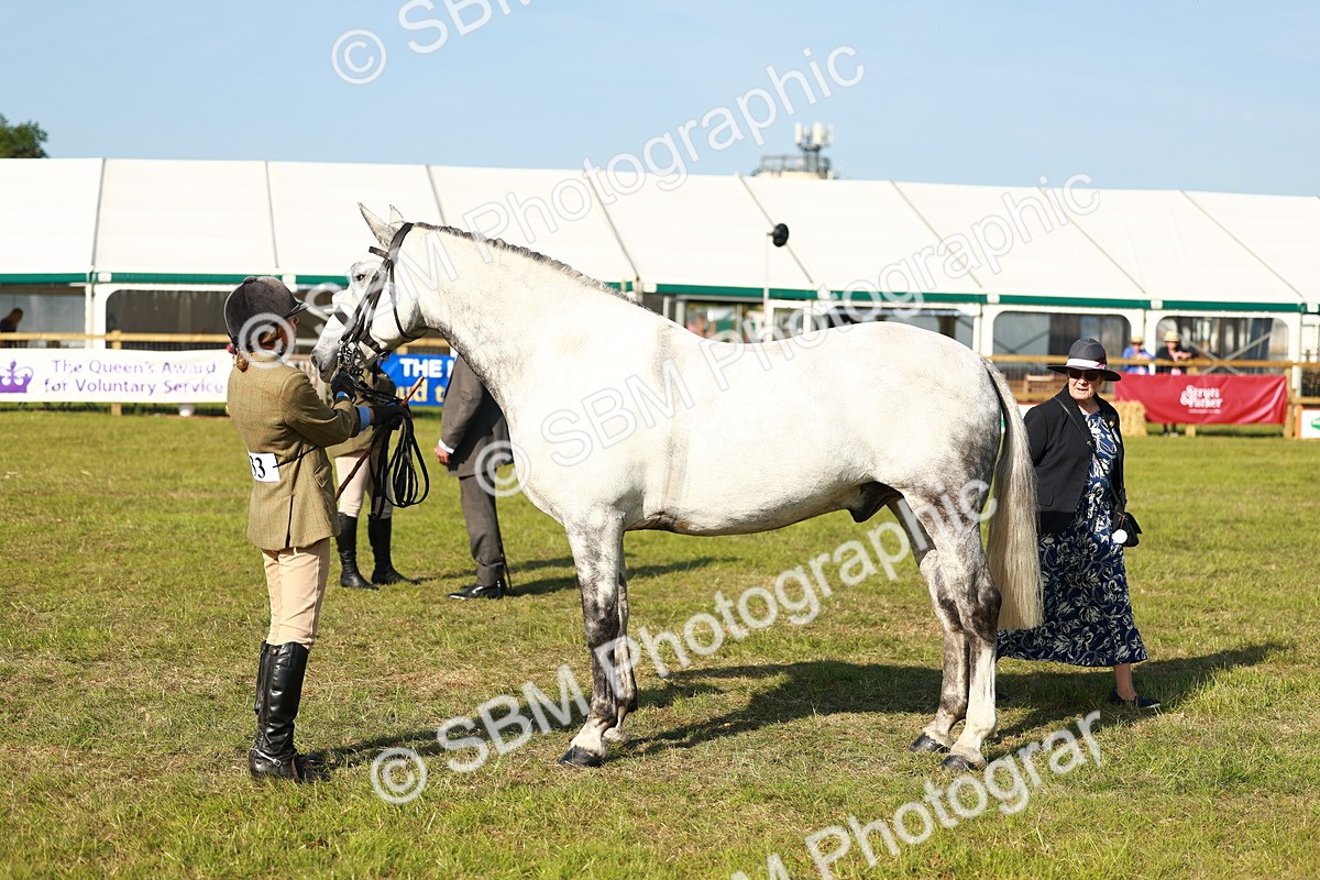 SBM_10813 - Class 66-69 - RIHS Ridden Hunters Inc Small Hunter