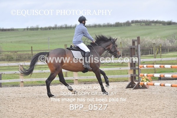 BPP_0527 - CLASS 3  Club/ Unaffiliated 90cms Open