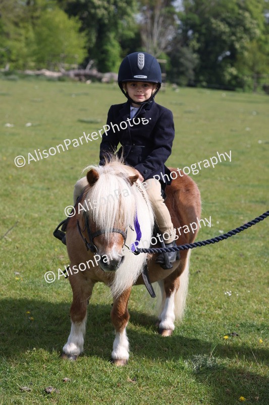 20260426-0538 - Class 30 - Tiny Tots Lead Rein
