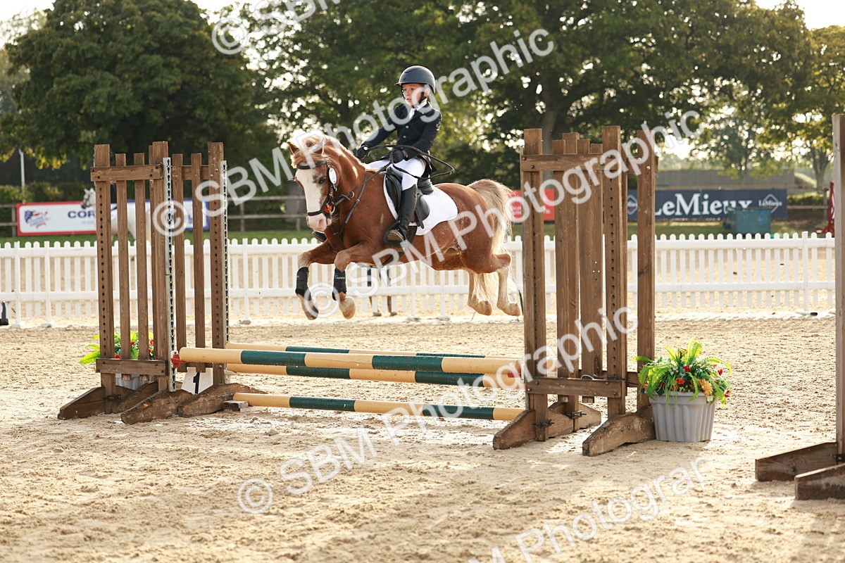 SBM_55522 - J11 - Junior Pony 50cm Championship