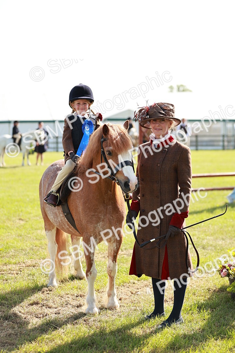 SBM_11308 - Class 106-107 - BSPS LIHS Working Sports Pony