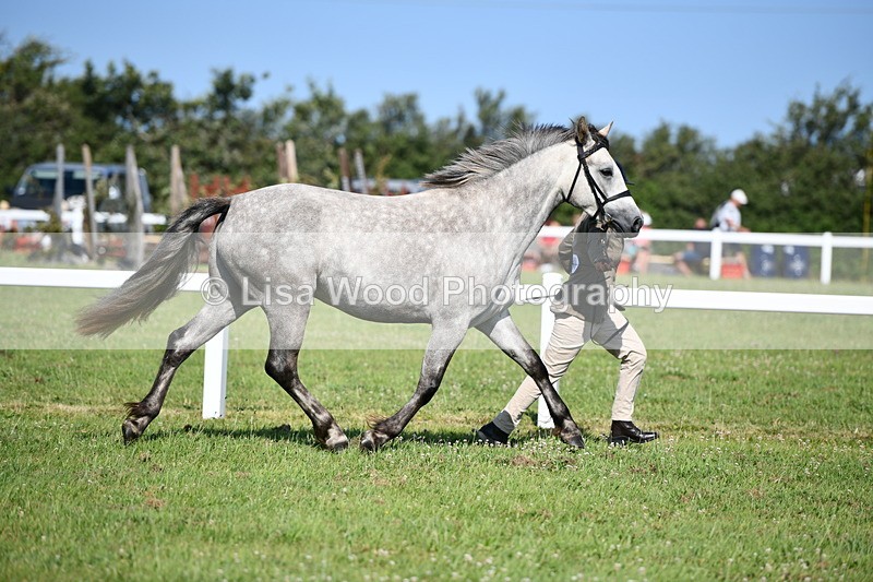 DSC_6094 - Class 51: NPS M&M 2/3 year olds