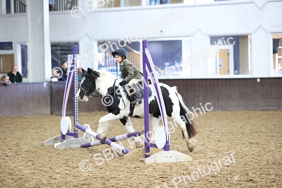 SBM_000175 - Class 2 - The Rug Lady 40cm Area 12 Championship Qualifier